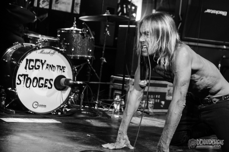 Iggy and the Stooges